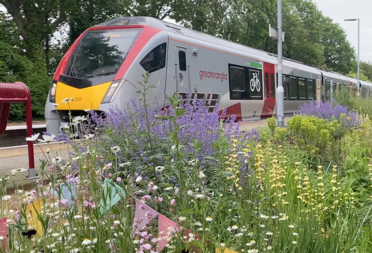 200 Years of Memories: A Look Back at Plain Dealer's Oblituary Section